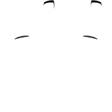 Load image into Gallery viewer, PF L1 R1
