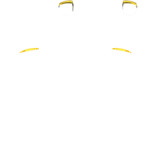 Load image into Gallery viewer, PF L1 R1
