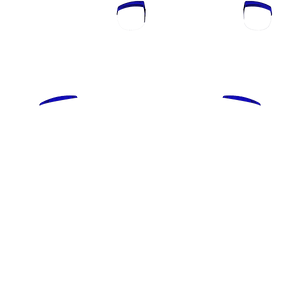 PF L1 R1