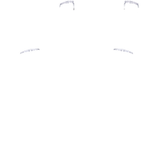 Load image into Gallery viewer, PF L1 R1
