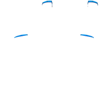 Load image into Gallery viewer, PF L1 R1
