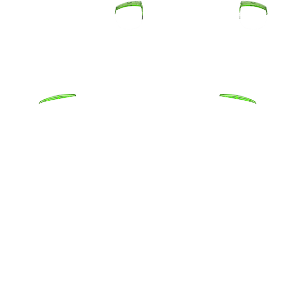 PF L1 R1