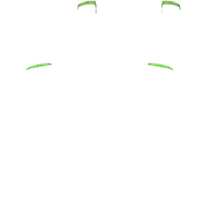 Load image into Gallery viewer, PF L1 R1
