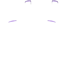 Load image into Gallery viewer, PF L1 R1
