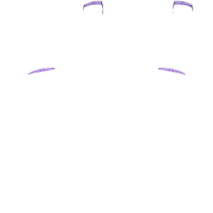 PF L1 R1