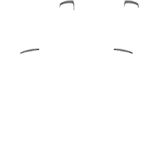 Load image into Gallery viewer, PF L1 R1
