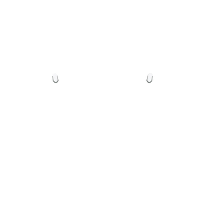 PF Share Opiton