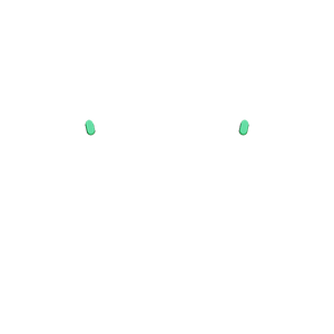 PF Share Opiton