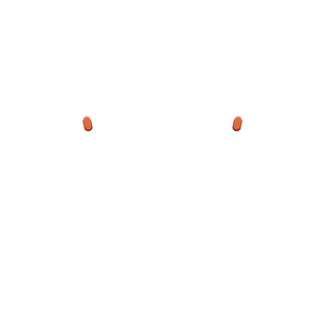 PF Share Opiton