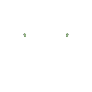 PF Share Opiton