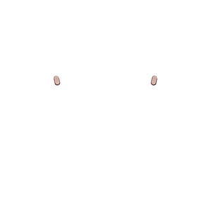 PF Share Opiton