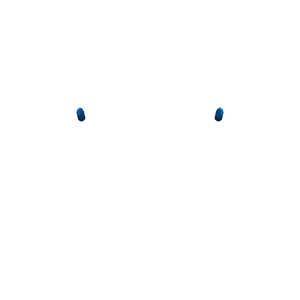 PF Share Opiton