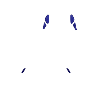 PF Phantom Back Button 123