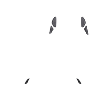 Load image into Gallery viewer, PF Phantom Back Button 123
