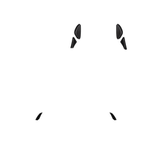 Load image into Gallery viewer, PF Phantom Back Button 123
