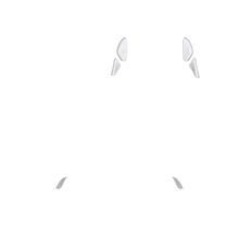Load image into Gallery viewer, PF Phantom Back Button 123
