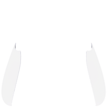 画像をギャラリービューアに読み込む, X3W Back Panels
