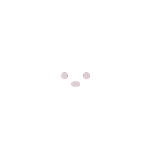 画像をギャラリービューアに読み込む, X3W View Manu Share
